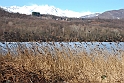 Lago Piccolo di Avigliana ghiacciato_043